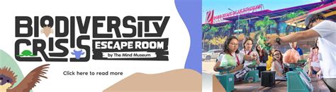 Traveling 'Biodiversity Crisis Escape Room' moves to Palawan.